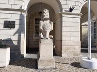 Lemberg. Wappentier Löwe.