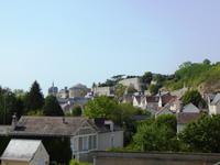 Blick auf Schloss Amboise