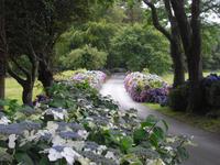 Portmeirion - Wales