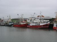 Fischkutter, Büsum