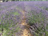 und wir haben ihn noch gefunden...