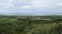 Dingle