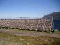 Trockengestelle mit Stockfisch