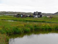 Island - Halbinsel Snæfellsnes - Arnarstapi