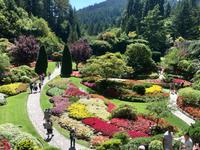 Butchart Garden bei Victoria