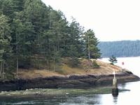 Seehunde sonnen sich