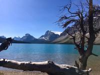 die Rockies pur