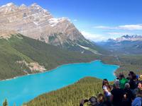 das IST Peto Lake