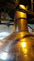 Weltgrößter Destillationsapparat bei Jameson Midleton
