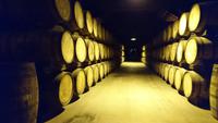 Whiskeylager bei Jameson Midleton