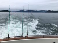 Bootsfahrt Kamtschatka