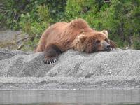 Bärentour Kamtschatka