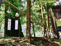 Nikko Nationalpark 