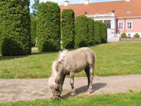 Laheema_Nationalpark_Sagadi (1)