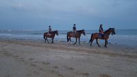 La Baule, Strand