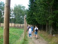 Im Elchpark
