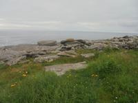 Felsenküste bei Old Wick Castle