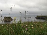 Felsenküste bei Old Wick Castle