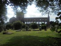 Abteiruine von Jedburgh