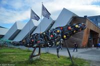 Hurtigruten - Polarlys-145