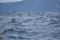 Hurtigruten - Polarlys-166