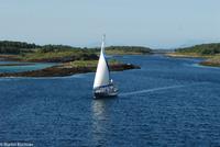 Hurtigruten - Polarlys-308