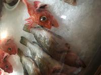 noch in der Kühlung