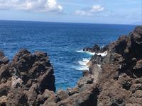 auf Pico