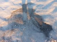 Asche des Vulkans Grimsvötn