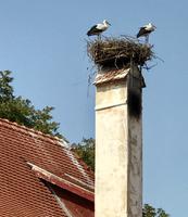 Christian: Im Dorf der Störche