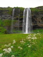 Island - Seljalandsfoss