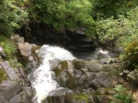 Wanderung zu den Birks of Aberfeldy