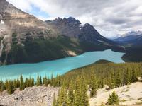 2. Tag Banff- und Yoho-Nationalpark - Rocky Mountains (76)