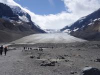 3. Tag Panoramafahrt entlang des Icefields Parkway – Columbia Icefield – Jasper-Nationalpark (29)