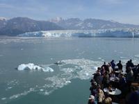 13. Tag Fahrt zum Hubbard-Gletscher (46)