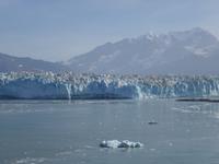 13. Tag Fahrt zum Hubbard-Gletscher (49)