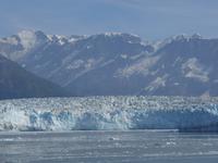 13. Tag Fahrt zum Hubbard-Gletscher (54)