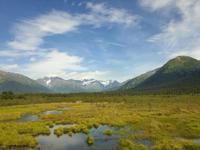 14. Tag Ankunft in Seward - Exit-Gletscher - Anchorage