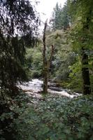 Braan River 
