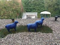 Dach unseres Hotels