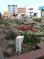Westerland Promenade