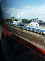 auf dem Autozug