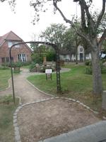 Föhr
