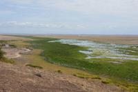 Amboseli observation hill