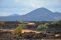 Tsavo West das lavafeld