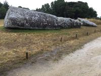 Gigant aus vergangener Zeit