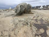 Welches Tier sich wohl hier versteckt?