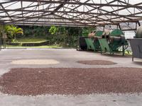 Kaffeeplantage Hawaii