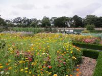 Walled Garden im Phoenix Park Dublin