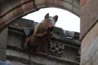 Das dudelsackspielende Schwein, Melrose Abbey 